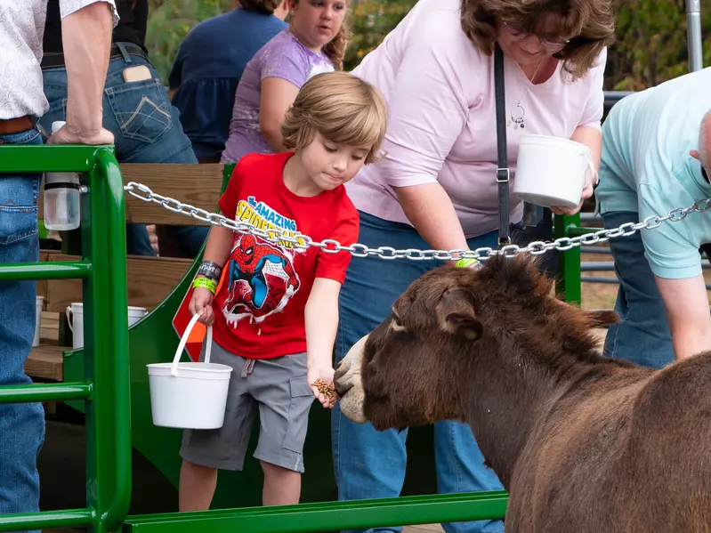 Hayride Slider - 1