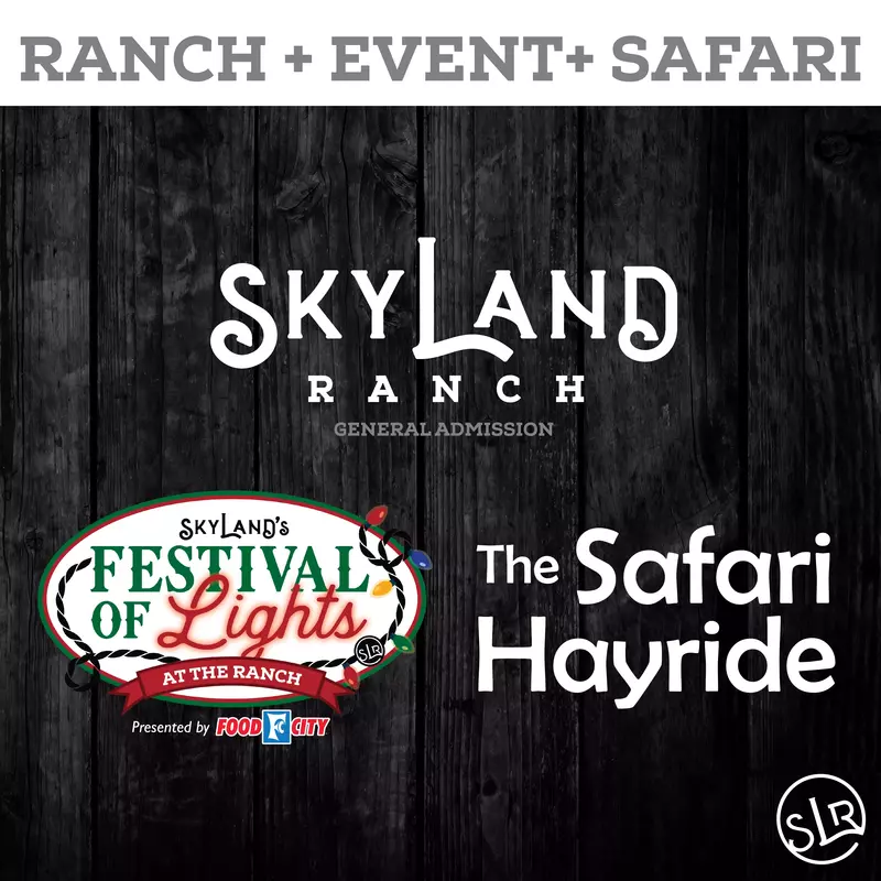 SkyLand Website Icons Tickets-12