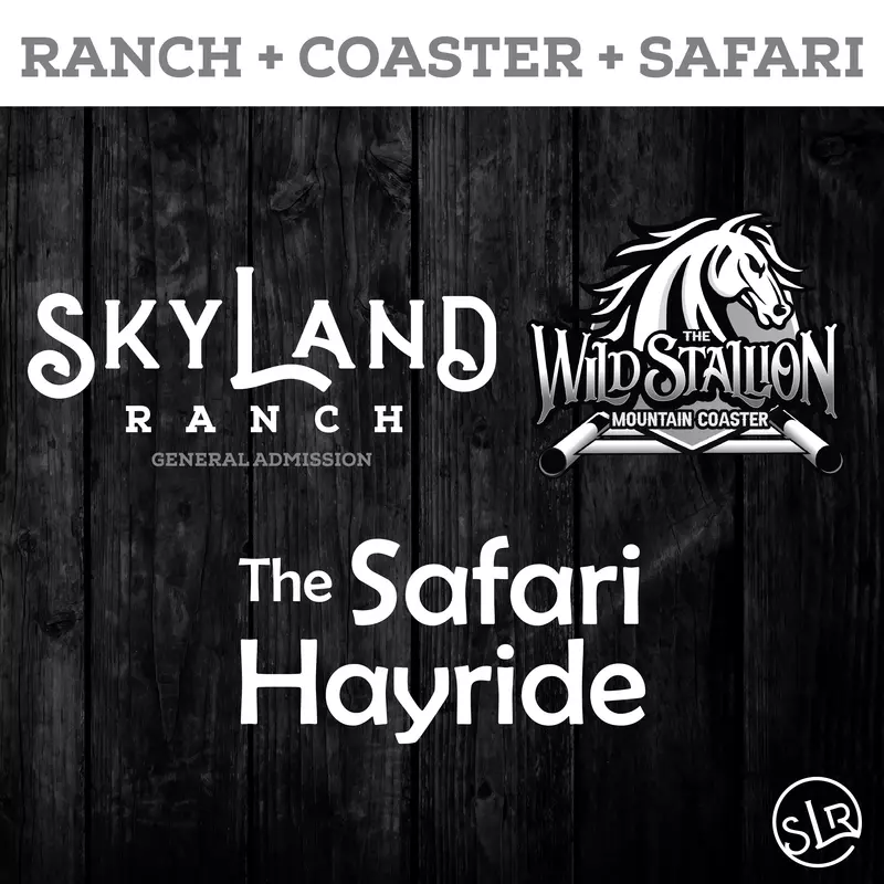 SkyLand Website Icons Tickets-10