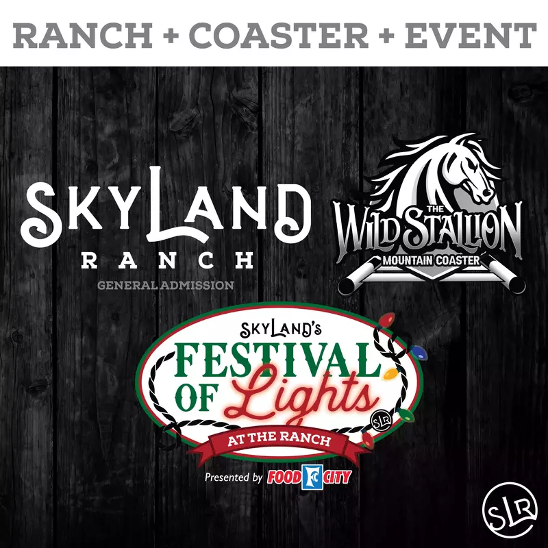 SkyLand Website Icons Tickets-09