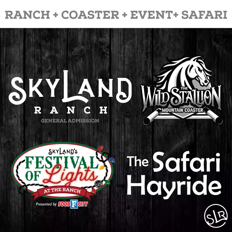 SkyLand Website Icons Tickets-11