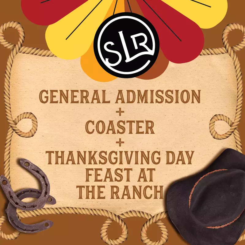 Thanksgiving Day Lunch Website Icon-02