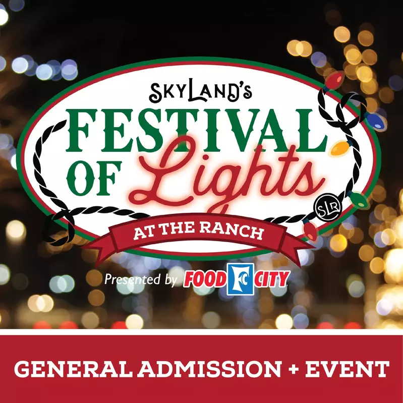 SkyLand Festival of Lights Website Icons Tickets-06 (1) (1)