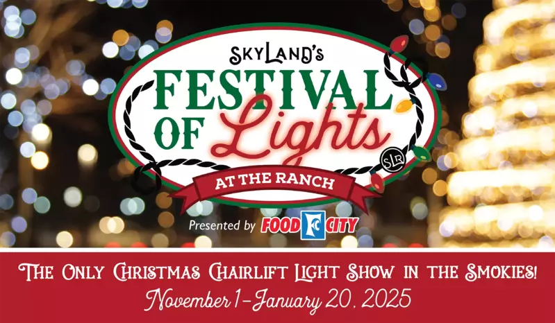 2025 Festival of Lights