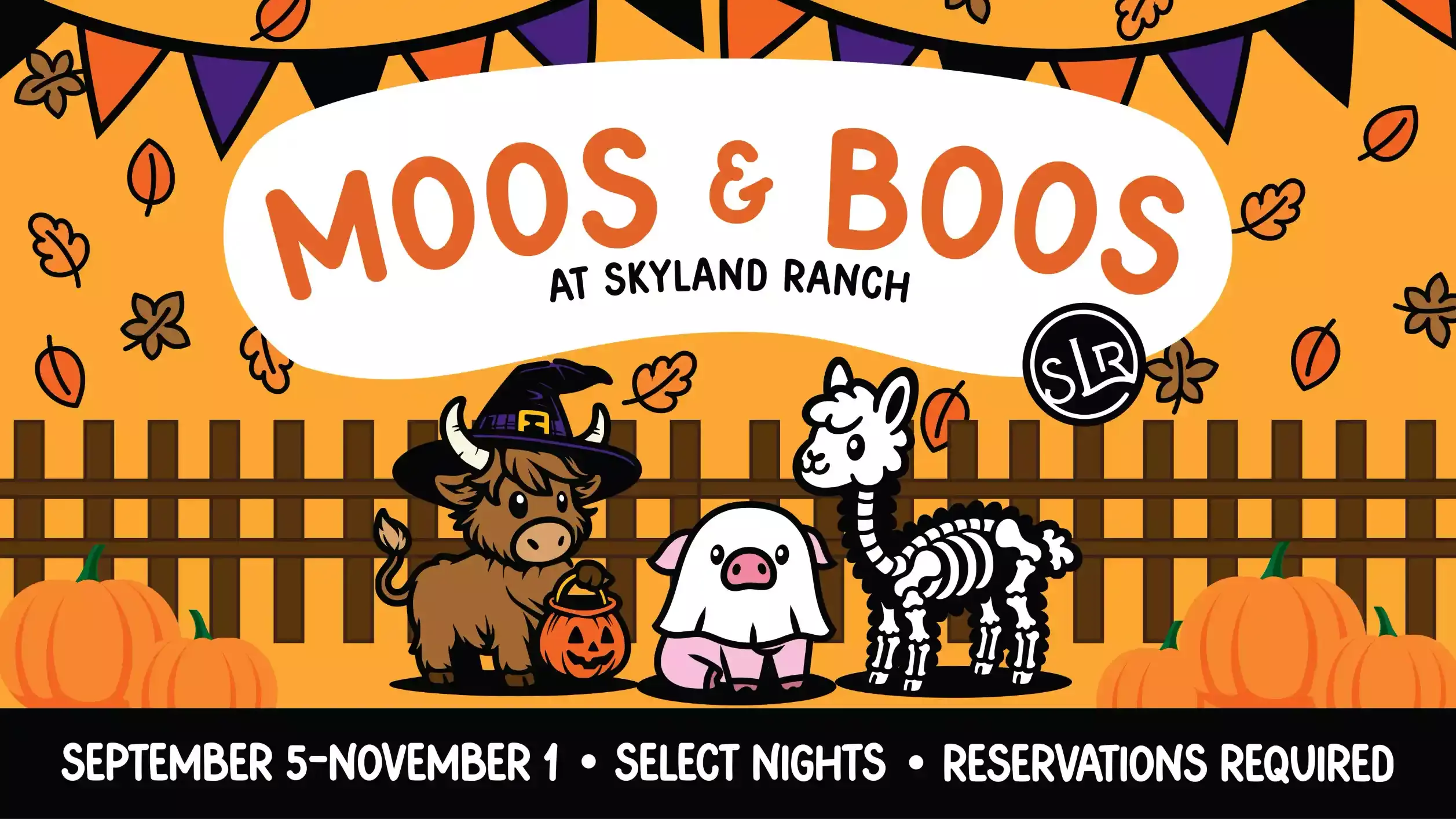 Moos  Boos Web Images-01