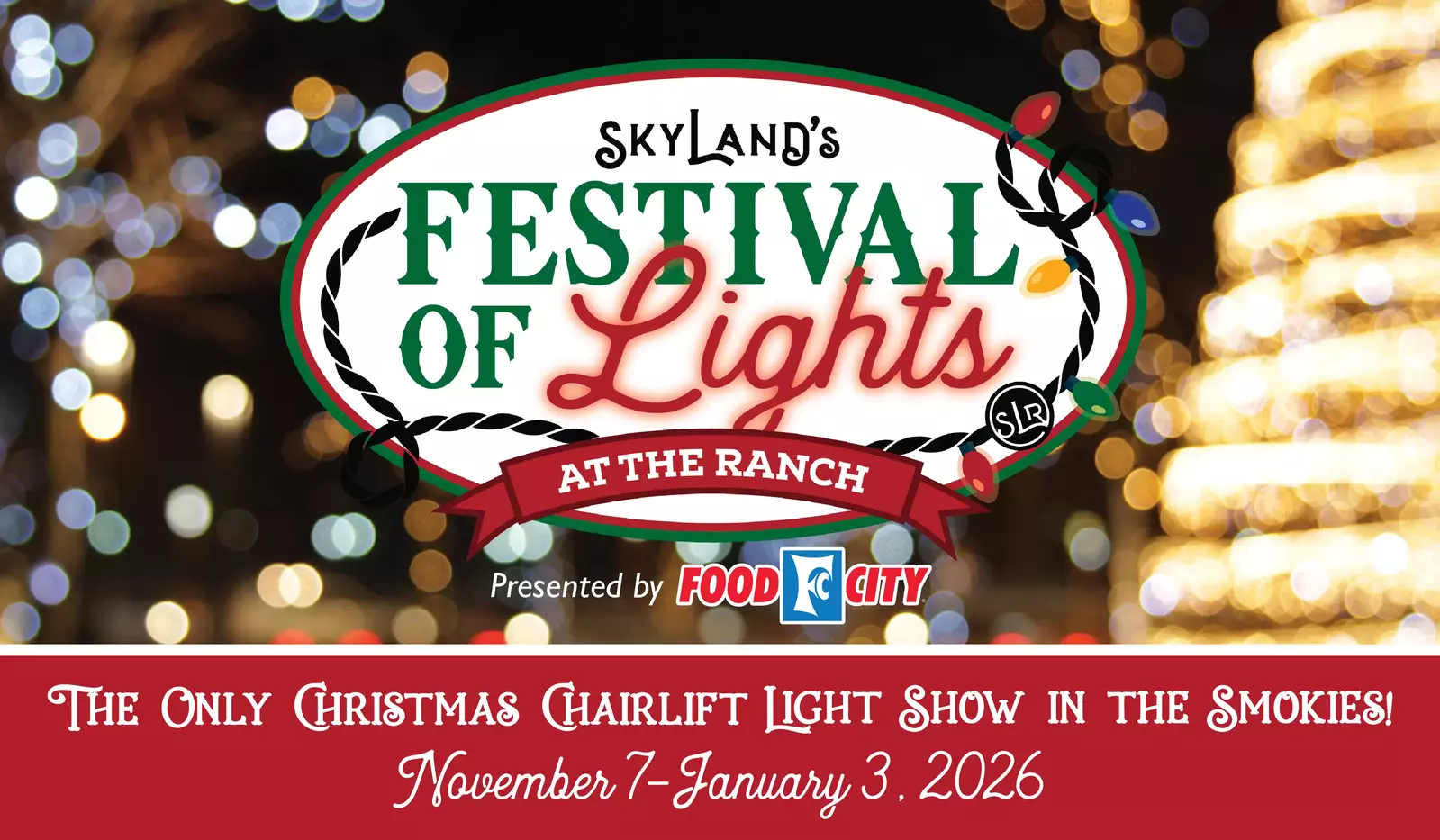 Festival of Lights 2025 Web Image