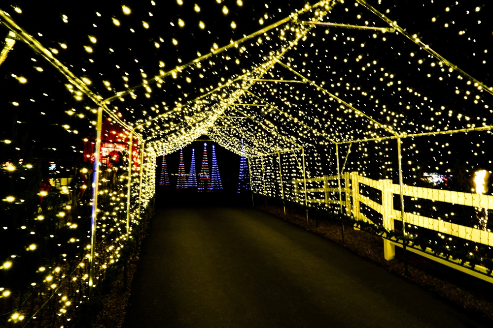 light tunnel at SkyLand's Festival of Lights at The Ranch
